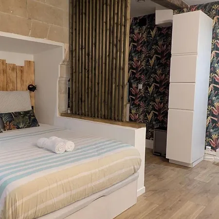 Petit Chateau Rouge - Hypercentre - Renove *